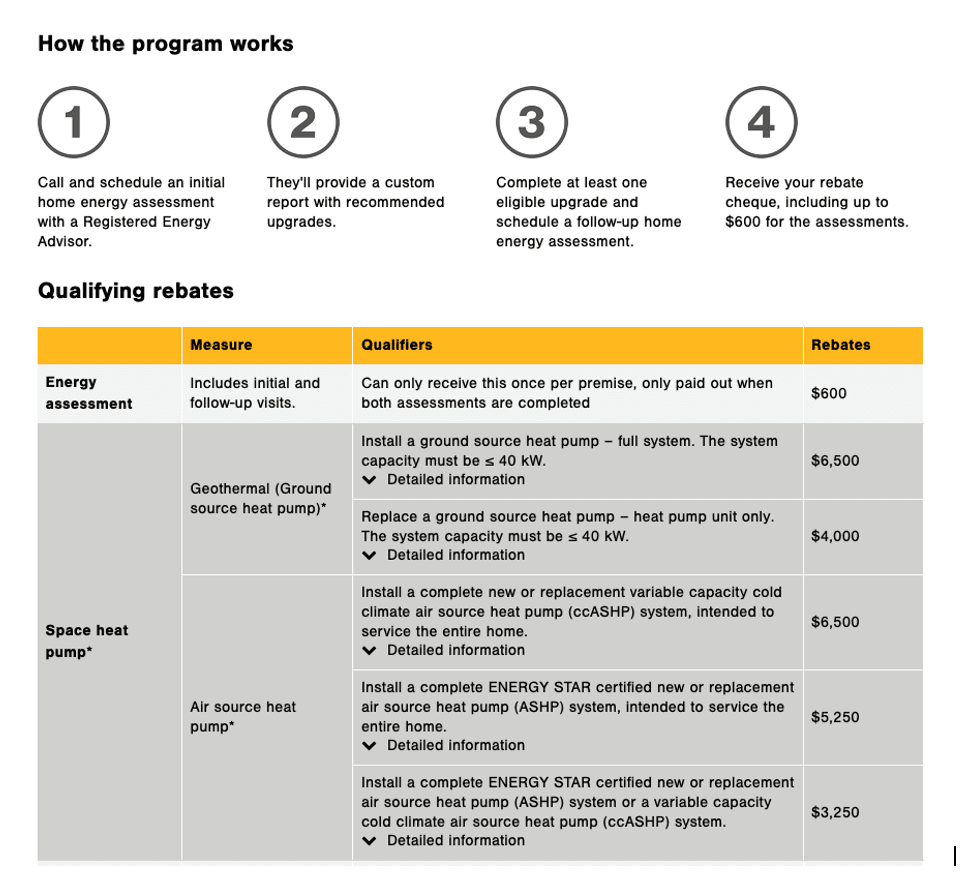 How the program works